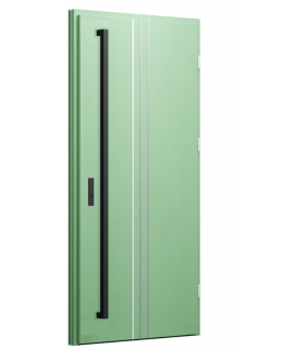 Drzwi zewnętrzne 32 - Ral 6021