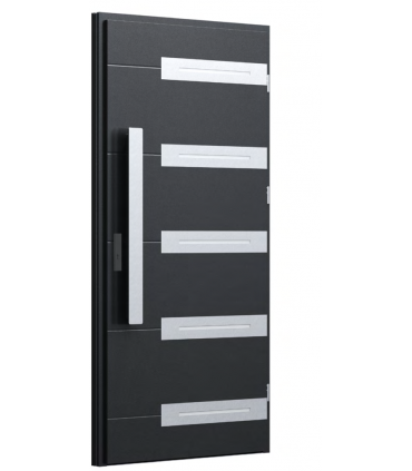 Drzwi zewnętrzne 39 - Carbon
